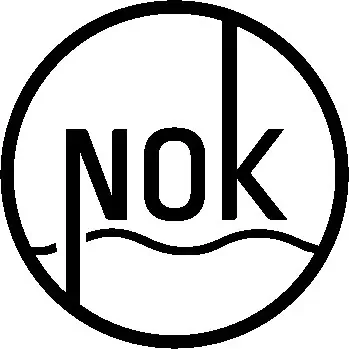 Isotipo de Not Only Kite
